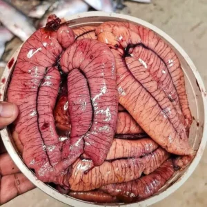 ইলিশ মাছের ডিম ৭০০ টাকা কেজি